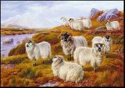 unknow artist Sheep 063 Sweden oil painting artist